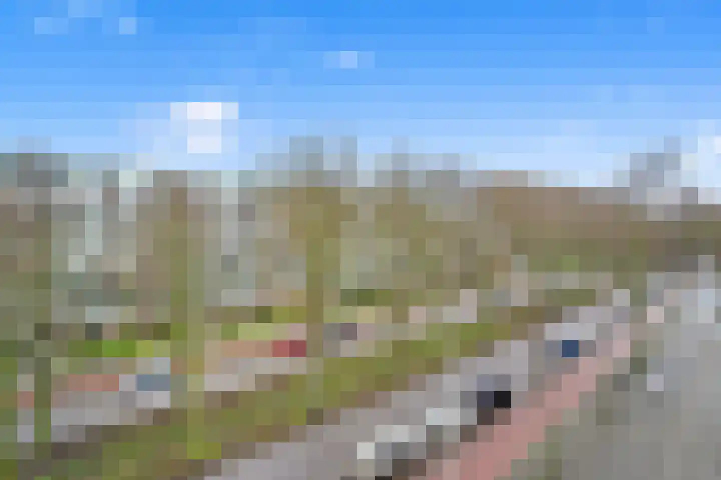 Volendamlaan 1018 Den Haag thumbnail 9