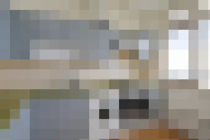 Volendamlaan 1048 Den Haag thumbnail 23
