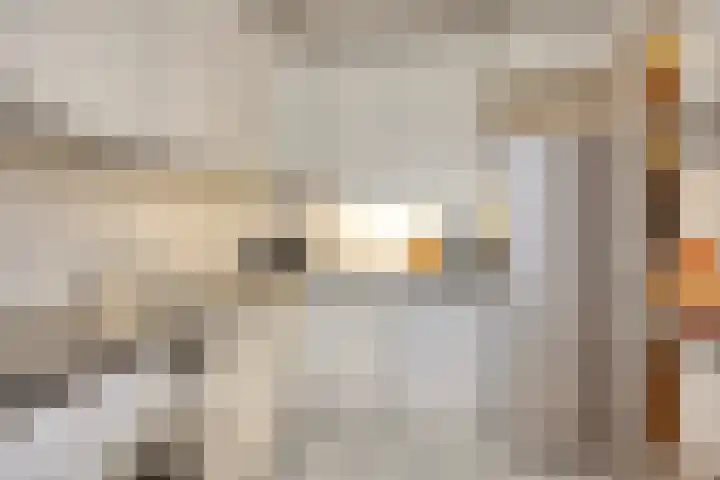 Volendamlaan 1080 Den Haag thumbnail 13