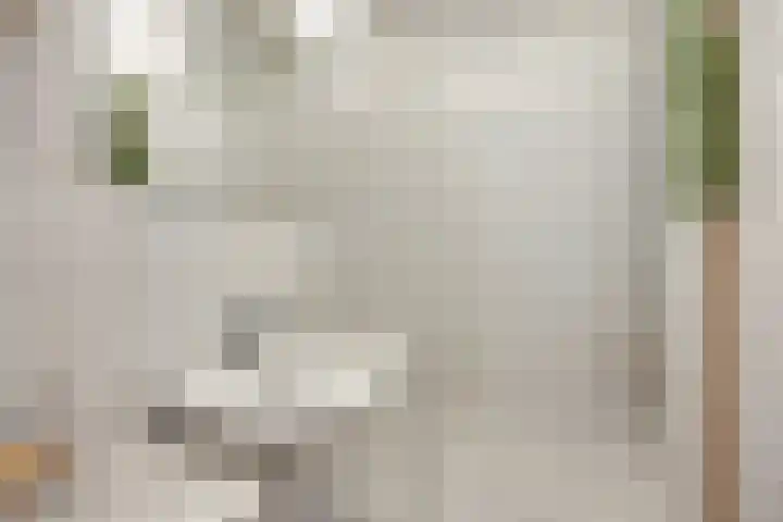Volendamlaan 1080 Den Haag thumbnail 14