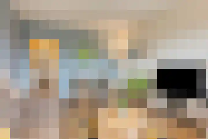 Volendamlaan 1080 Den Haag thumbnail 15