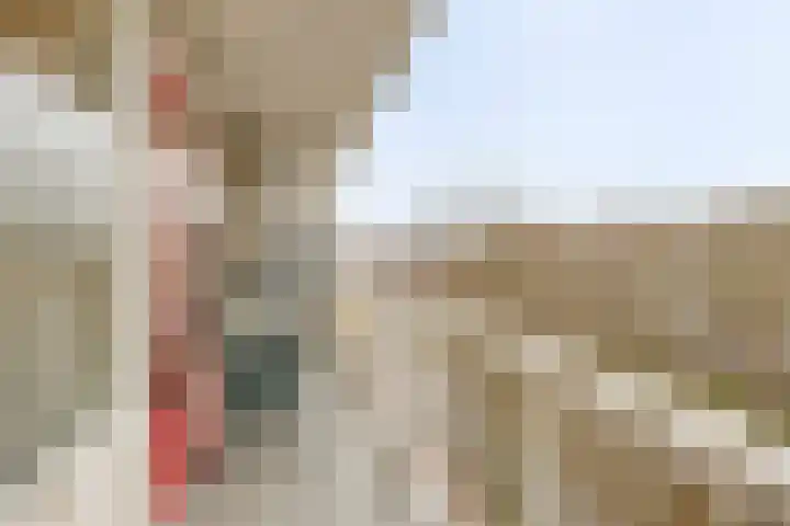 Volendamlaan 1080 Den Haag thumbnail 17