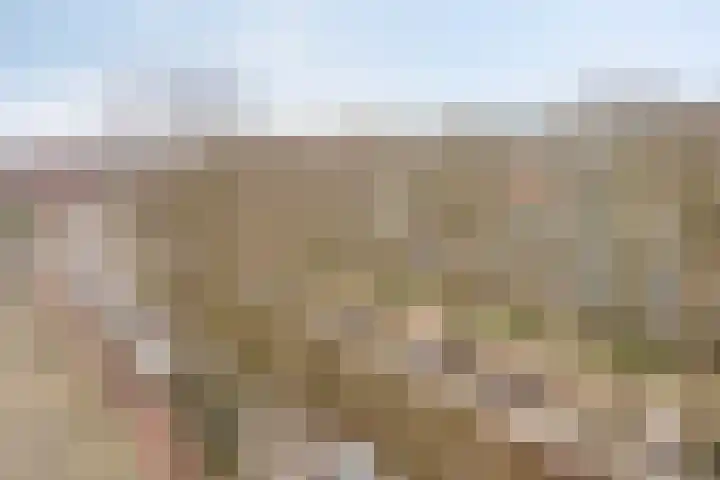 Volendamlaan 1080 Den Haag thumbnail 19