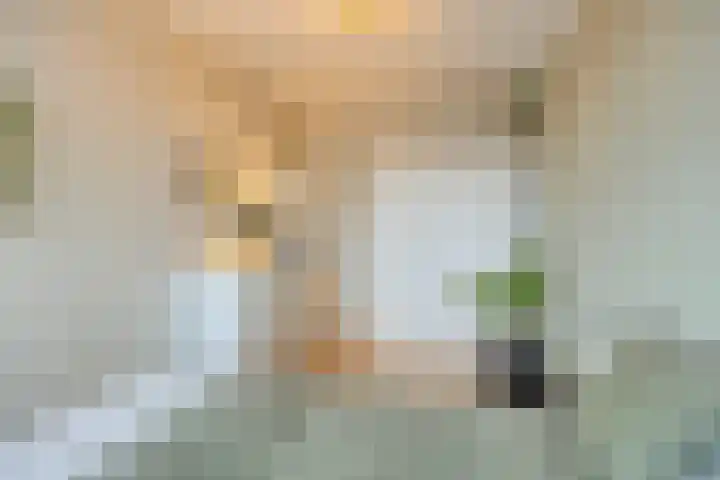 Volendamlaan 1080 Den Haag thumbnail 22