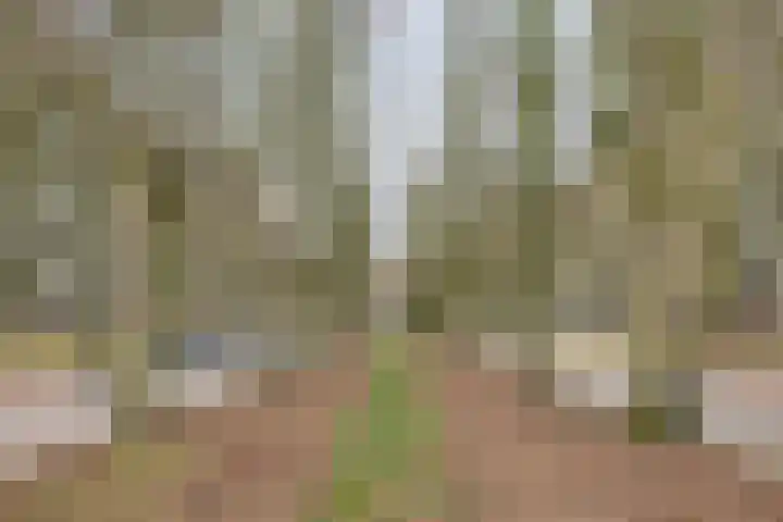 Volendamlaan 1080 Den Haag thumbnail 26