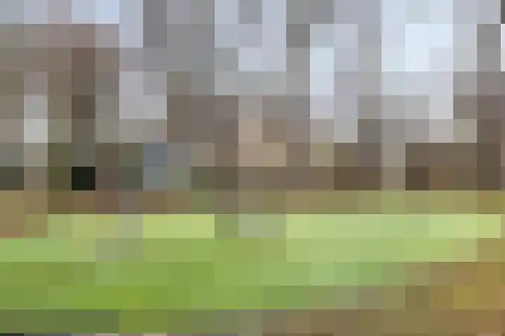 Volendamlaan 1080 Den Haag thumbnail 28