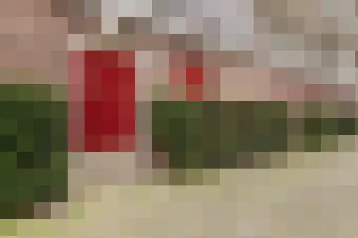 Volendamlaan 1080 Den Haag thumbnail 30