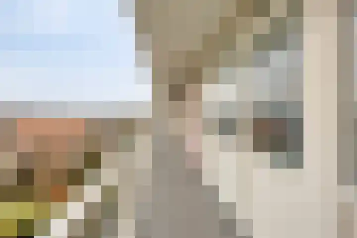 Volendamlaan 1080 Den Haag thumbnail 8