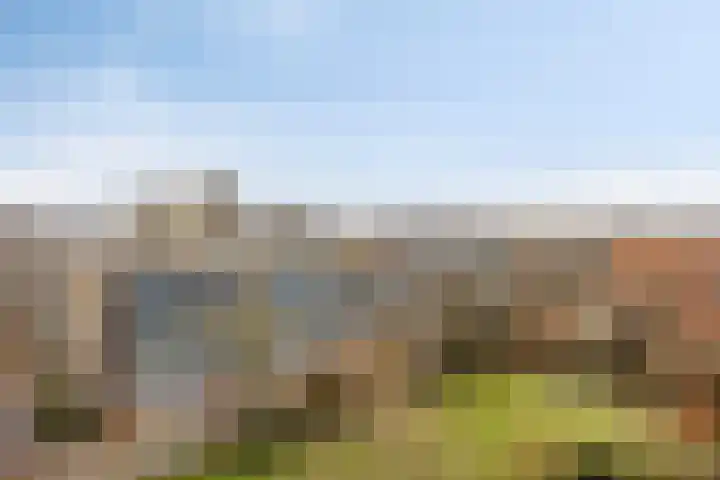 Volendamlaan 1080 Den Haag thumbnail 9