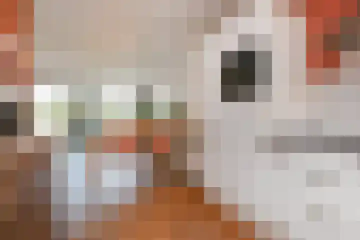 Volendamlaan 1176 Den Haag thumbnail 11