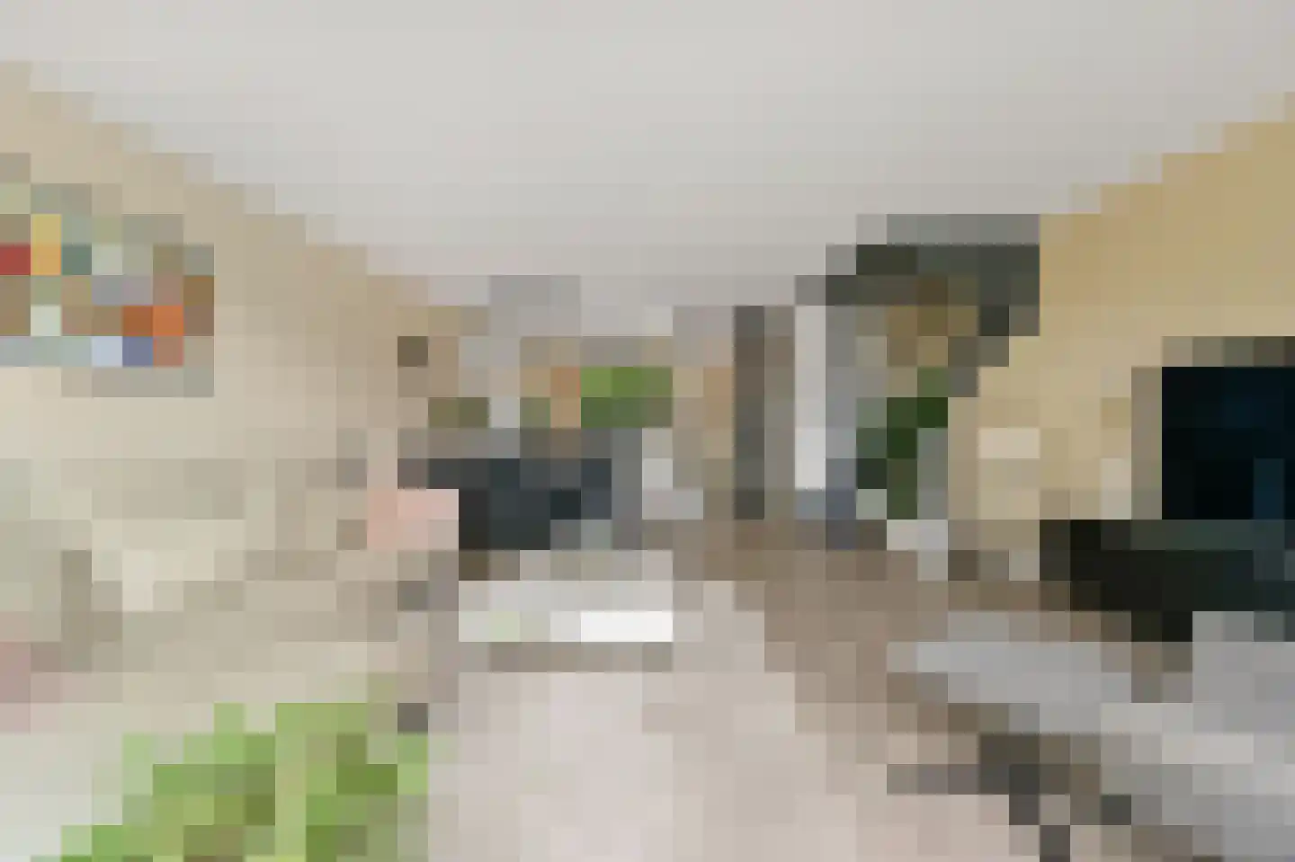 Volendamlaan 1180 Den Haag thumbnail 16