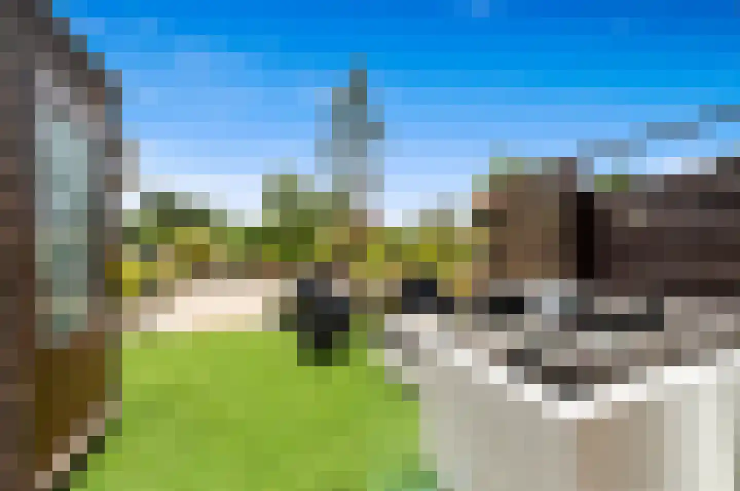 Volendamlaan 1180 Den Haag thumbnail 21