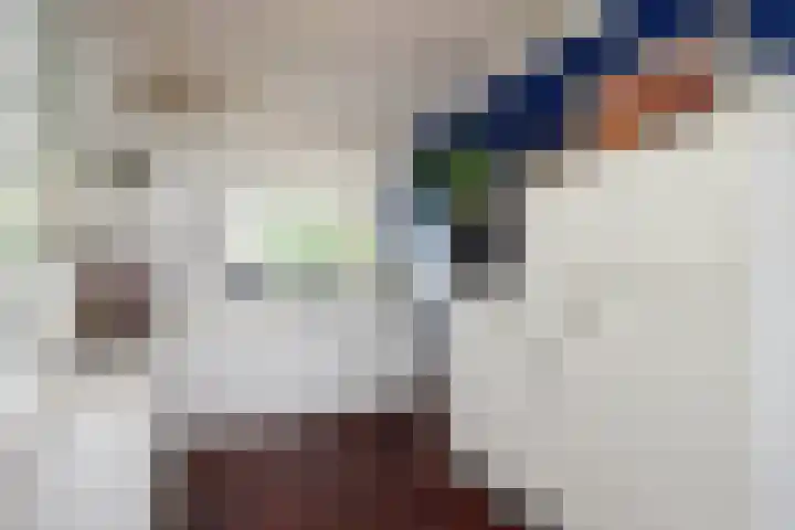 Volendamlaan 1206 Den Haag thumbnail 12
