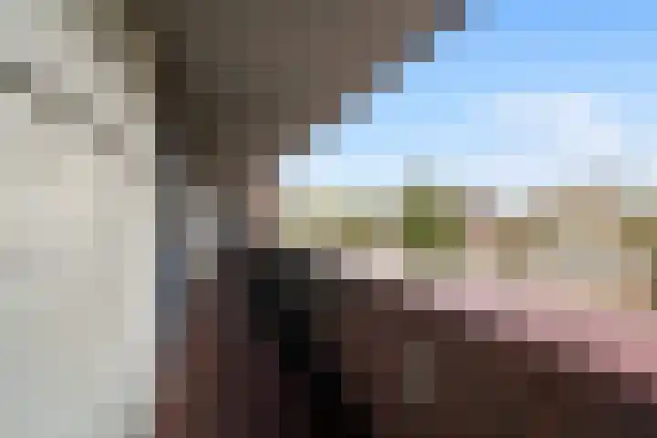 Volendamlaan 1226 Den Haag thumbnail 10