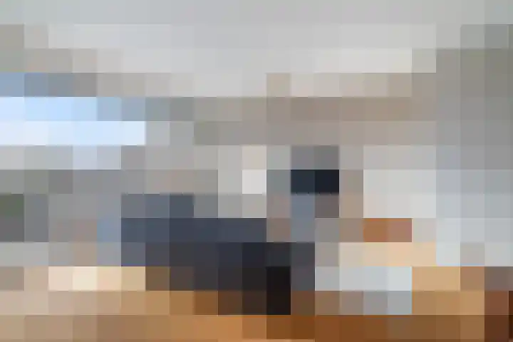 Volendamlaan 1226 Den Haag thumbnail 16