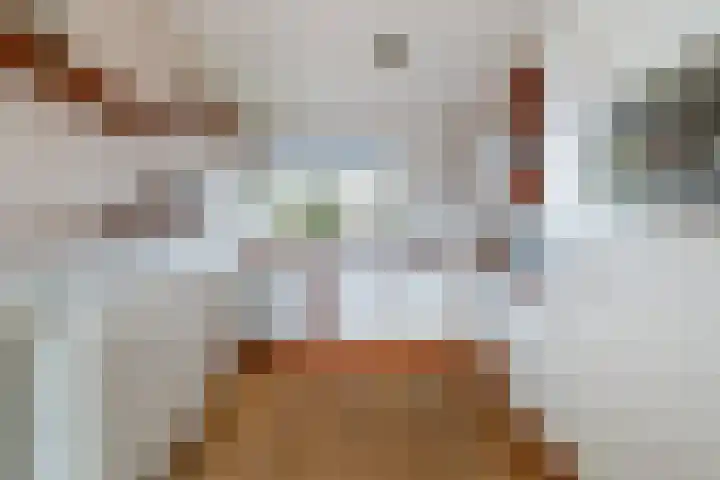 Volendamlaan 1226 Den Haag thumbnail 23