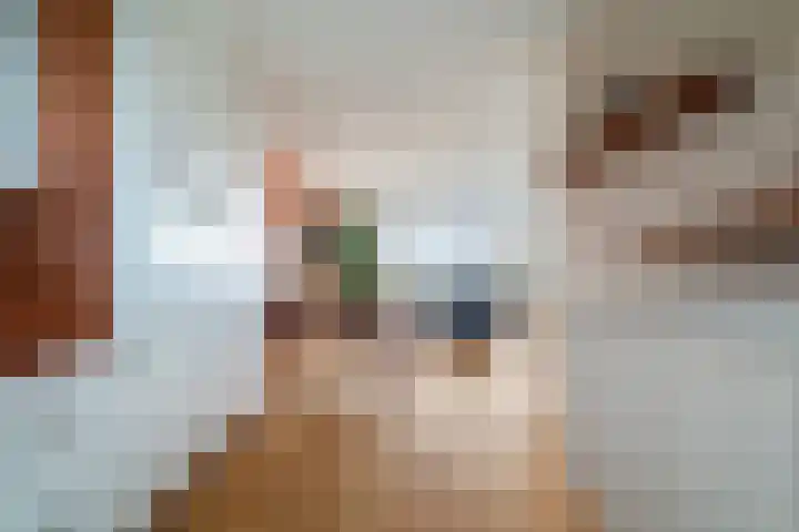 Volendamlaan 1226 Den Haag thumbnail 28