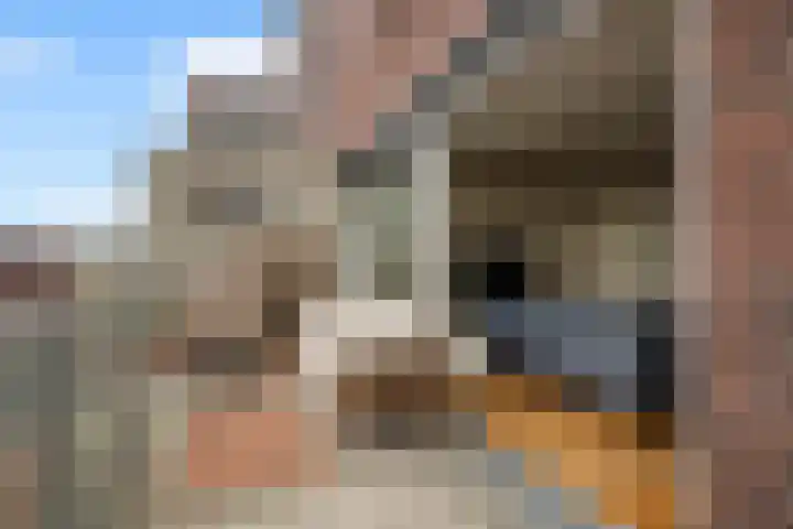 Volendamlaan 1226 Den Haag thumbnail 32