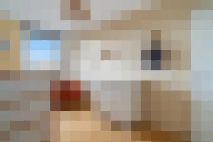 Volendamlaan 1226 Den Haag thumbnail 44