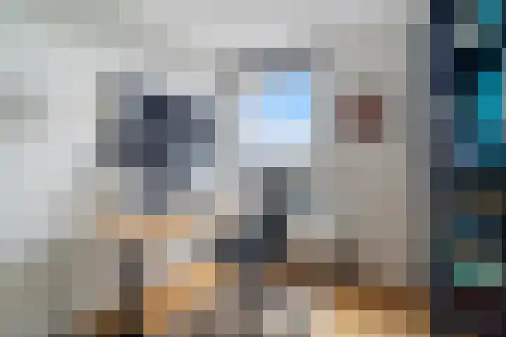 Volendamlaan 1226 Den Haag thumbnail 47