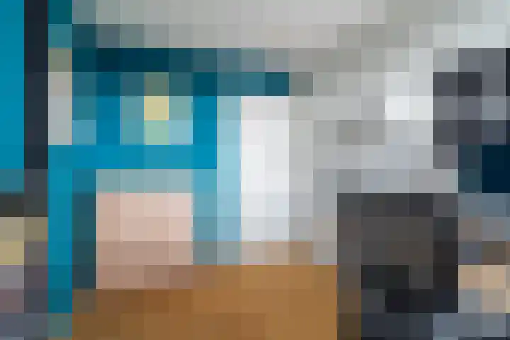 Volendamlaan 1226 Den Haag thumbnail 48