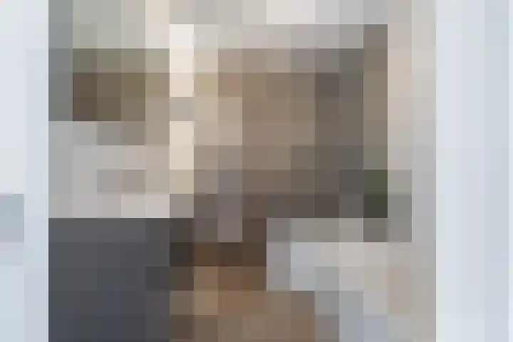 Volendamlaan 1226 Den Haag thumbnail 49