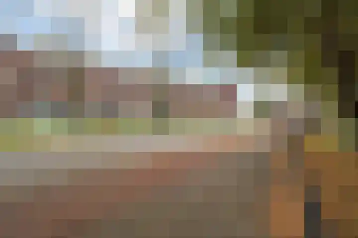 Volendamlaan 1226 Den Haag thumbnail 57