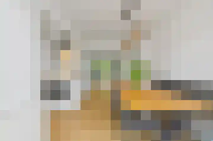 Volendamlaan 26 Den Haag thumbnail 15