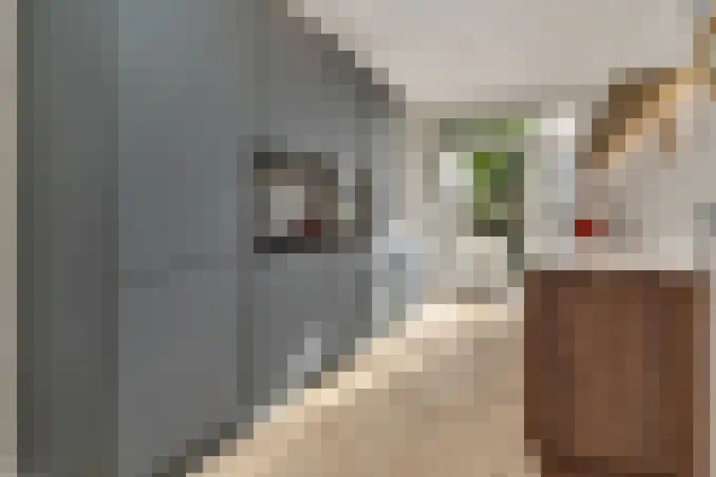 Volendamlaan 74 Den Haag thumbnail 10