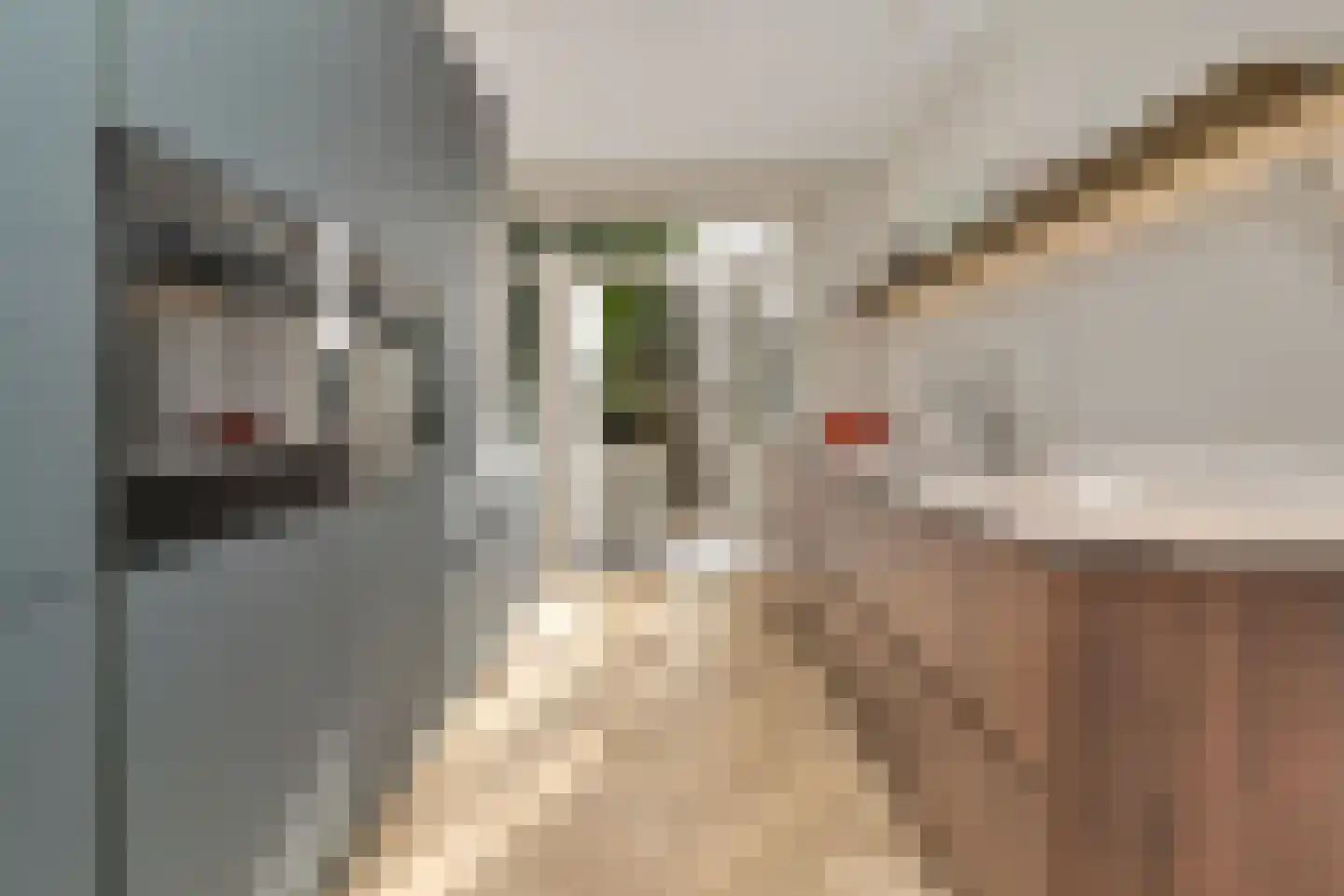 Volendamlaan 74 Den Haag thumbnail 11