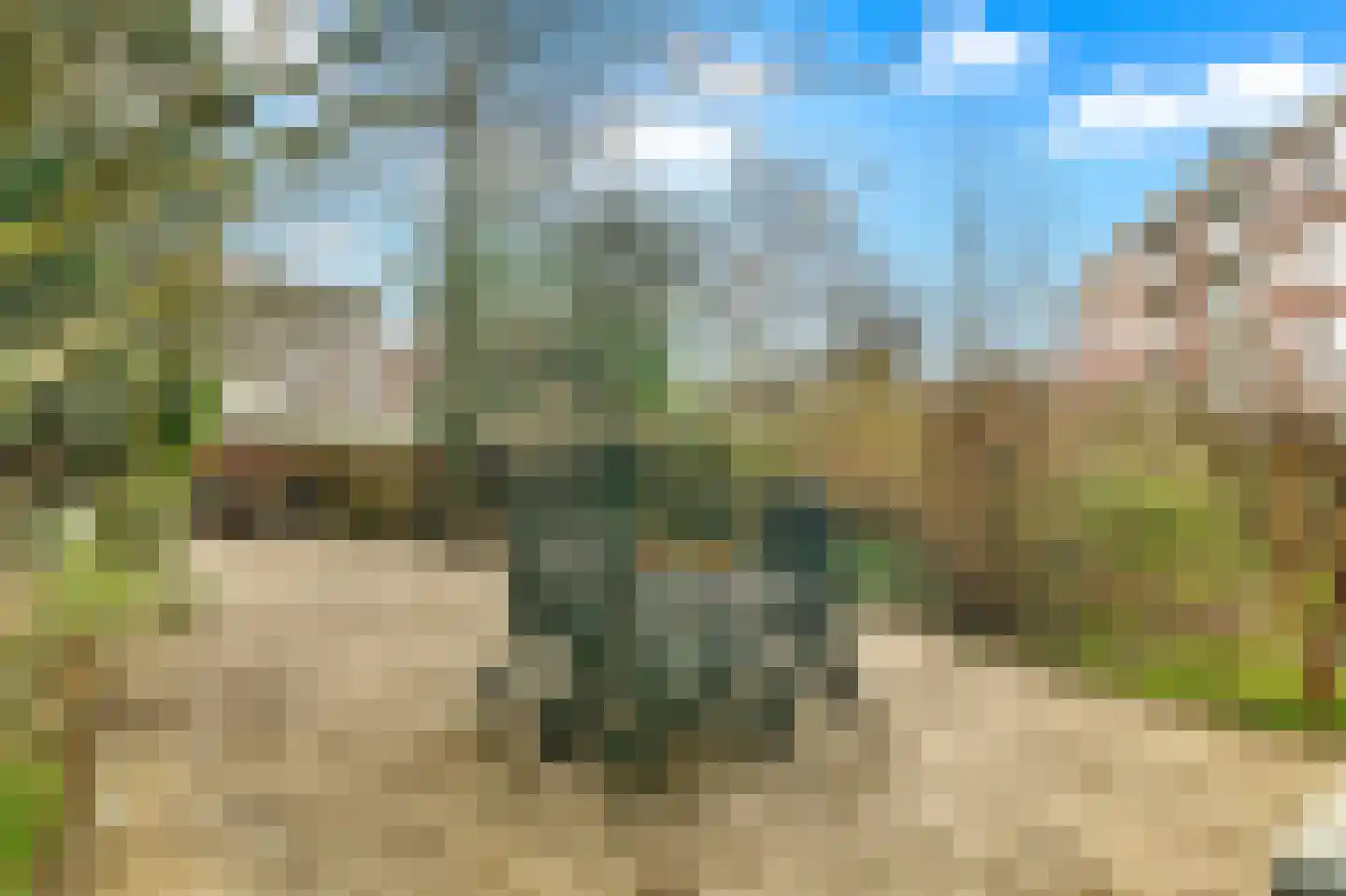 Volendamlaan 74 Den Haag thumbnail 19