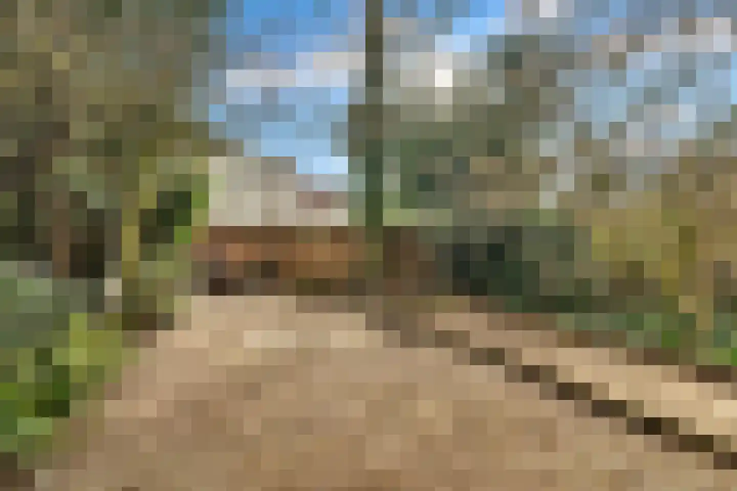 Volendamlaan 74 Den Haag thumbnail 21