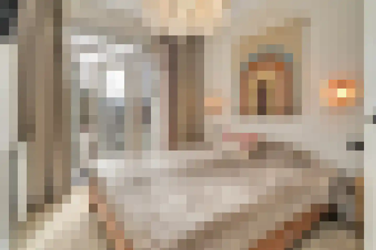 Volendamlaan 74 Den Haag thumbnail 27