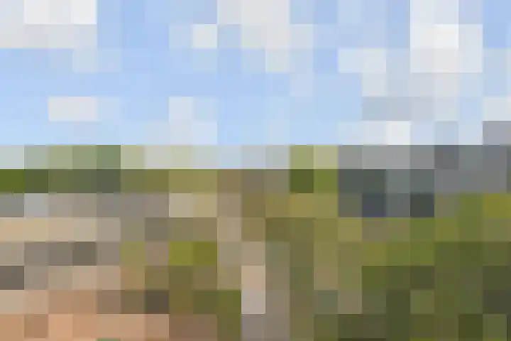 Volendamlaan 766 Den Haag thumbnail 10