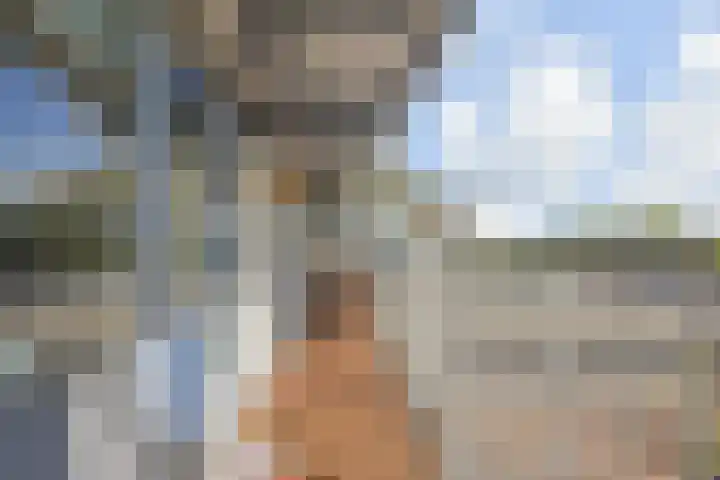 Volendamlaan 766 Den Haag thumbnail 11