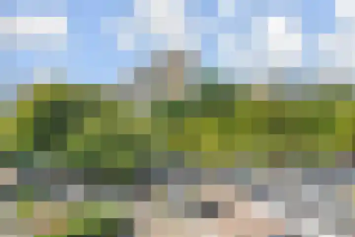 Volendamlaan 766 Den Haag thumbnail 19
