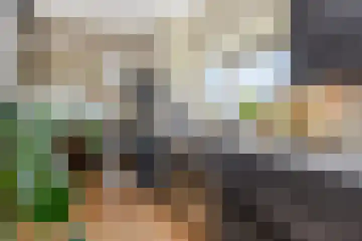 Volendamlaan 766 Den Haag thumbnail 20