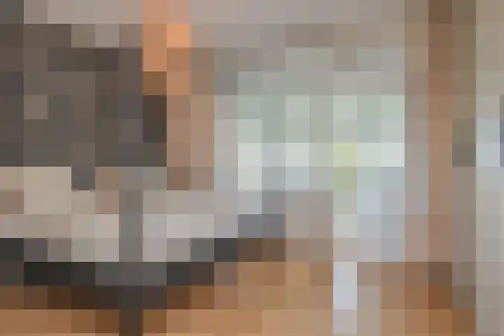 Volendamlaan 766 Den Haag thumbnail 28
