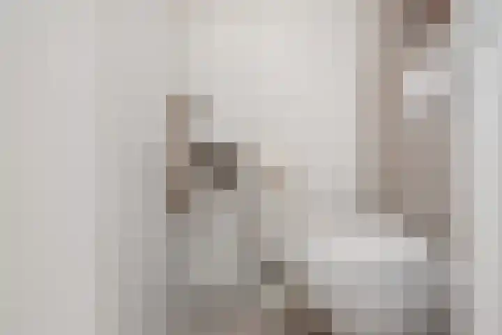 Volendamlaan 766 Den Haag thumbnail 33