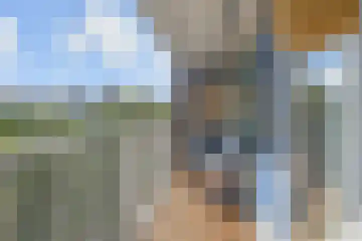 Volendamlaan 766 Den Haag thumbnail 4