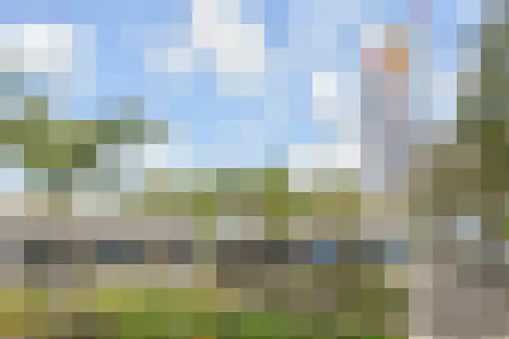 Volendamlaan 766 Den Haag thumbnail 42