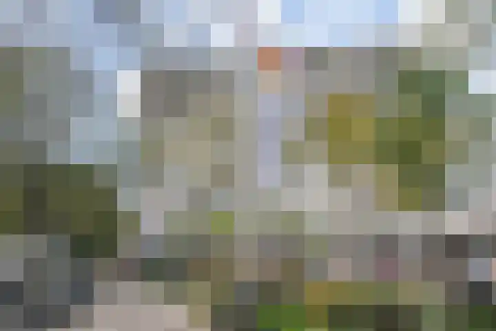Volendamlaan 766 Den Haag thumbnail 43