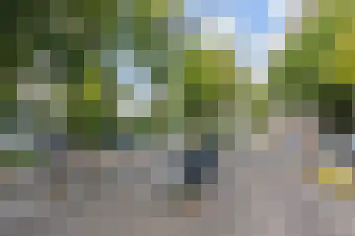 Volendamlaan 766 Den Haag thumbnail 45