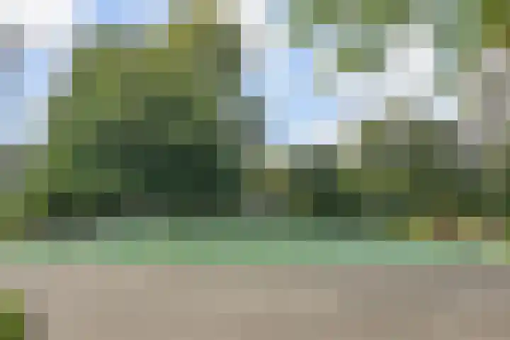 Volendamlaan 766 Den Haag thumbnail 46