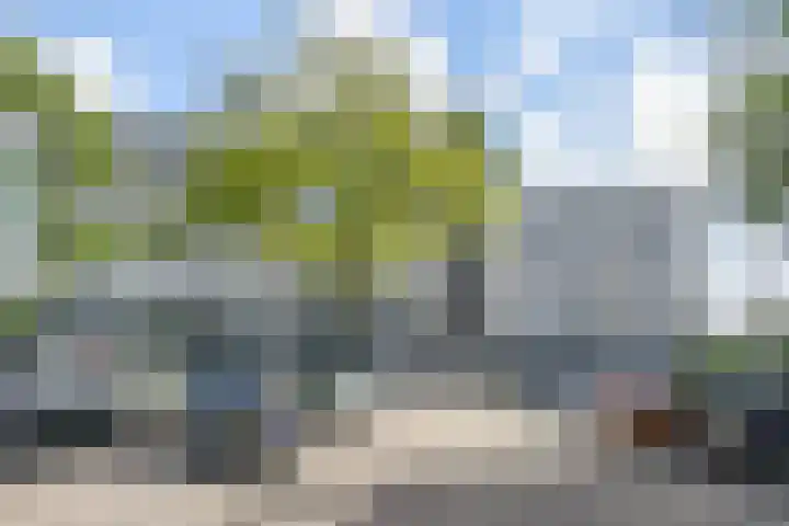 Volendamlaan 766 Den Haag thumbnail 5