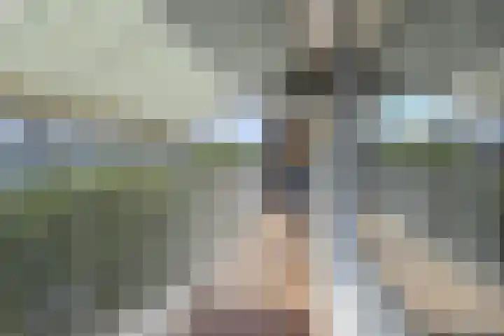 Volendamlaan 766 Den Haag thumbnail 8