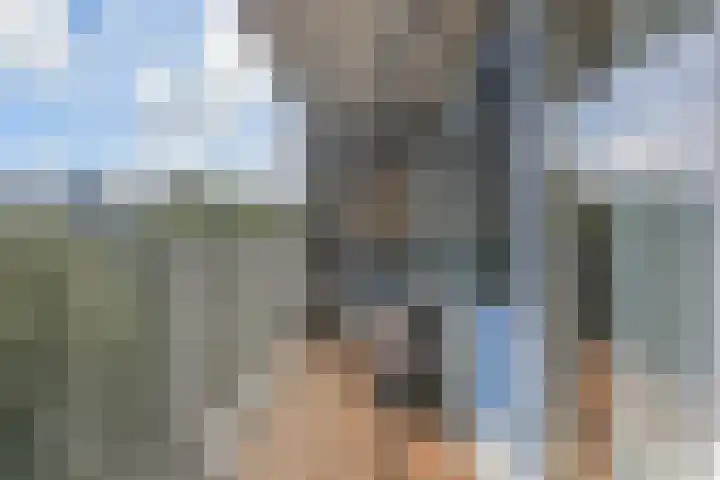 Volendamlaan 766 Den Haag thumbnail 9