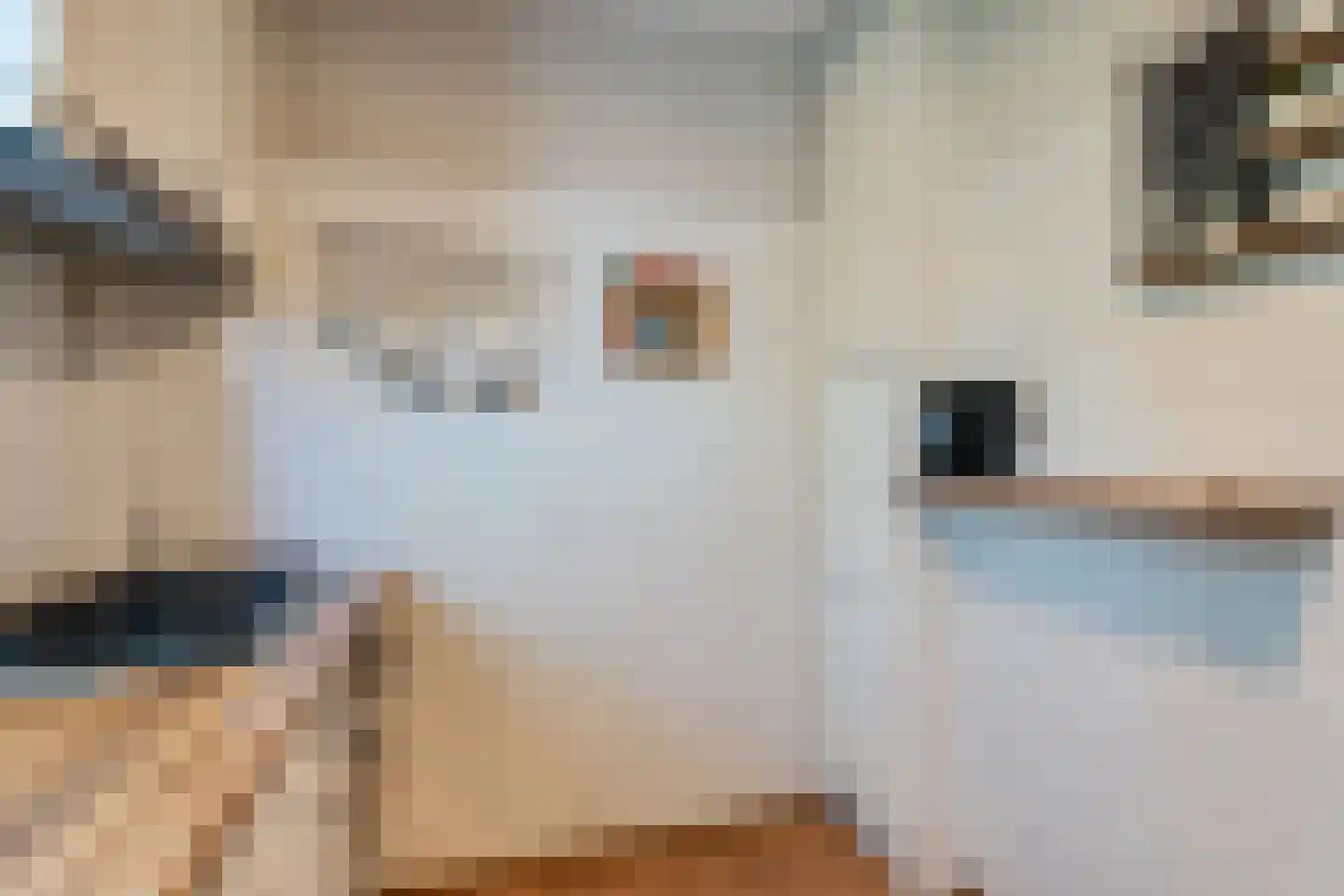 Volendamlaan 793 Den Haag thumbnail 12