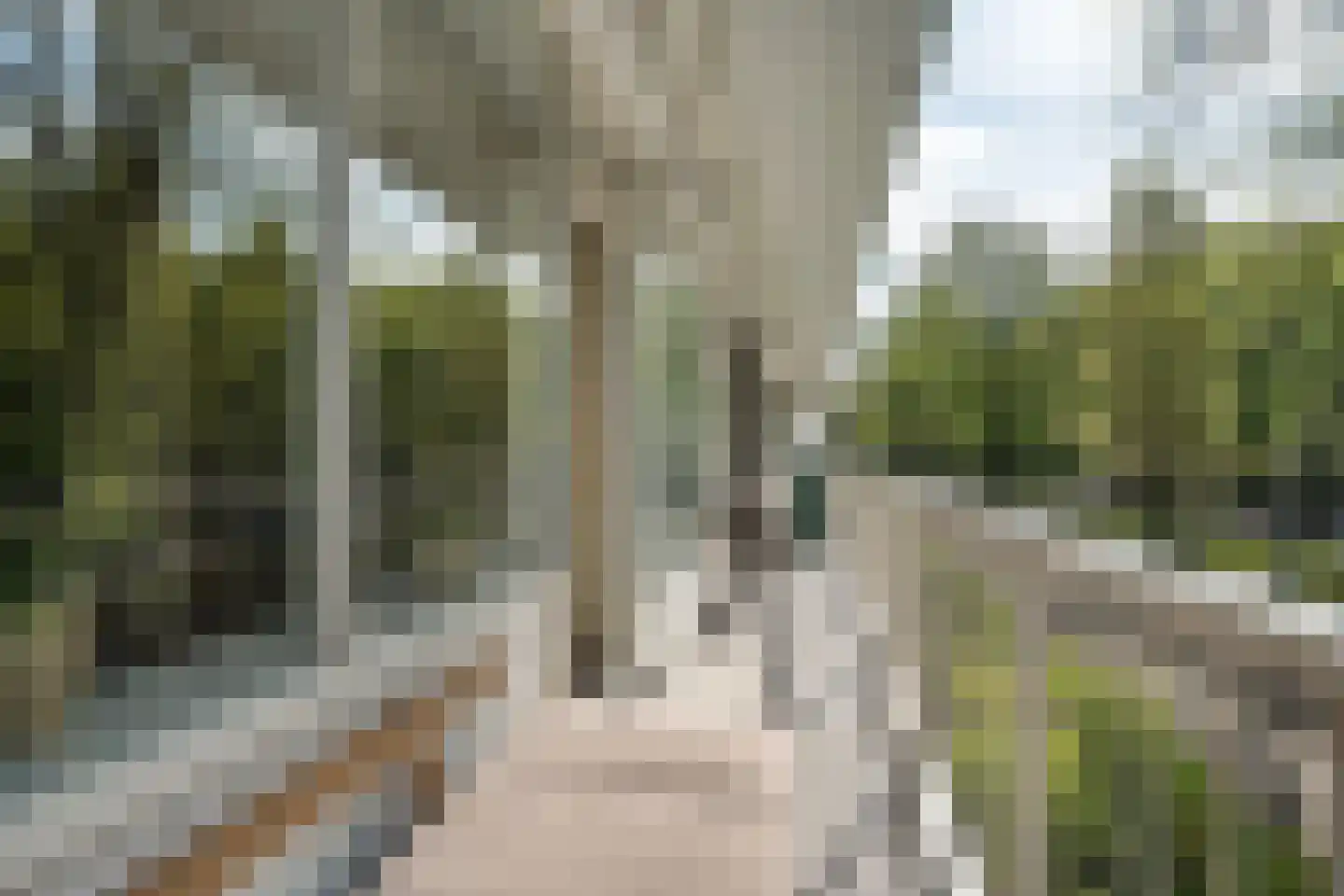 Volendamlaan 793 Den Haag thumbnail 26