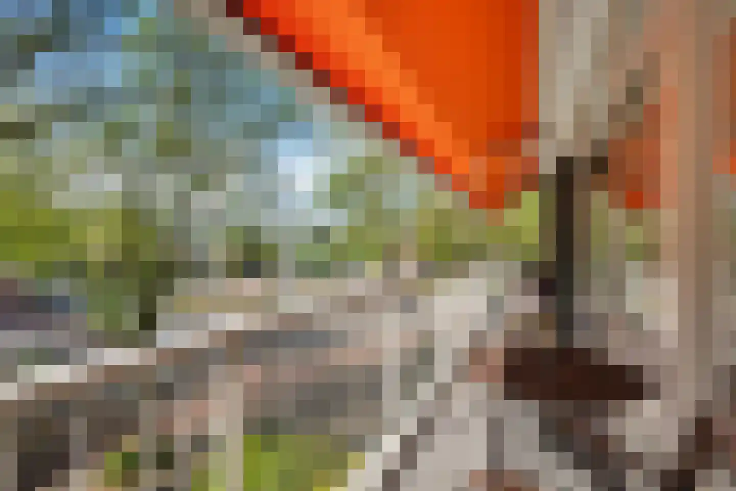 Volendamlaan 793 Den Haag thumbnail 4